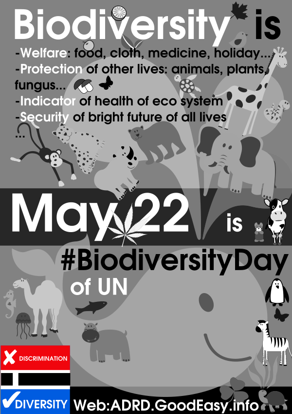 Poster about the importance of biodiversity and UN Biodiversity Day, May 22
